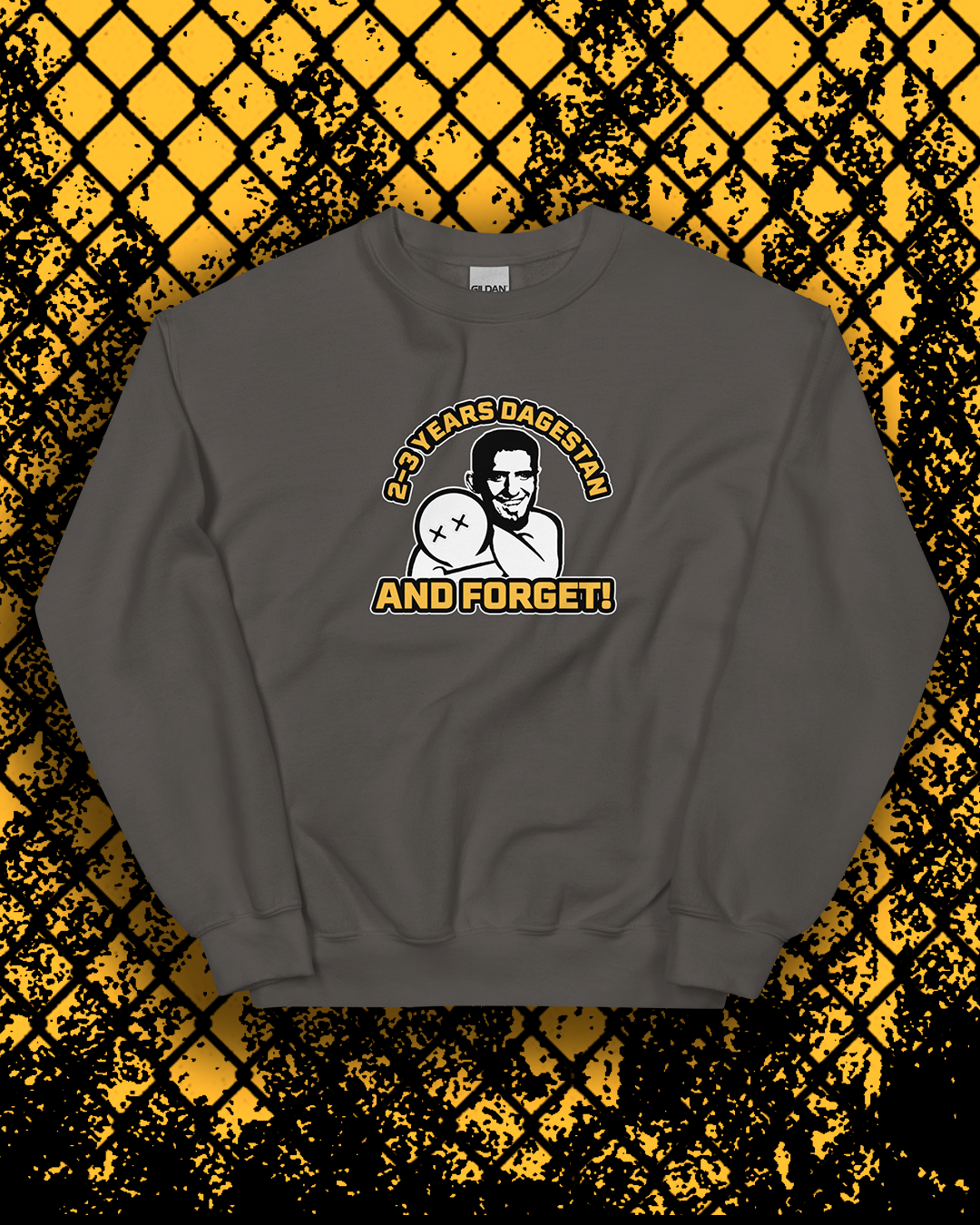 2-3 YEARS DAGESTAN & FORGET Sweatshirt